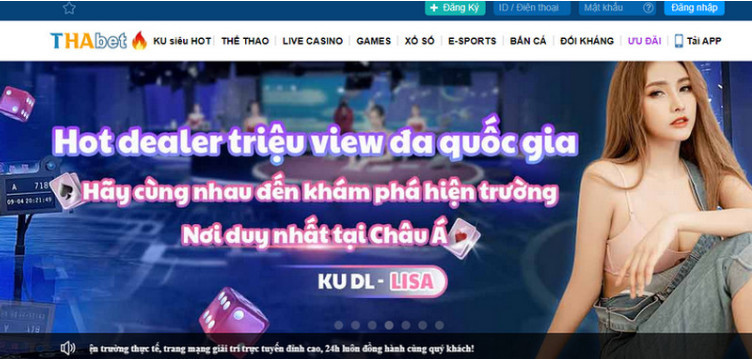 Thông tin chi tiết cá cược tại Thabet là gì cho tân binh Thông tin chi tiết cá cược tại Thabet là gì cho tân binh