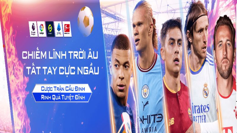 Giới thiệu về thương hiệu Bsport Giới thiệu về thương hiệu Bsport