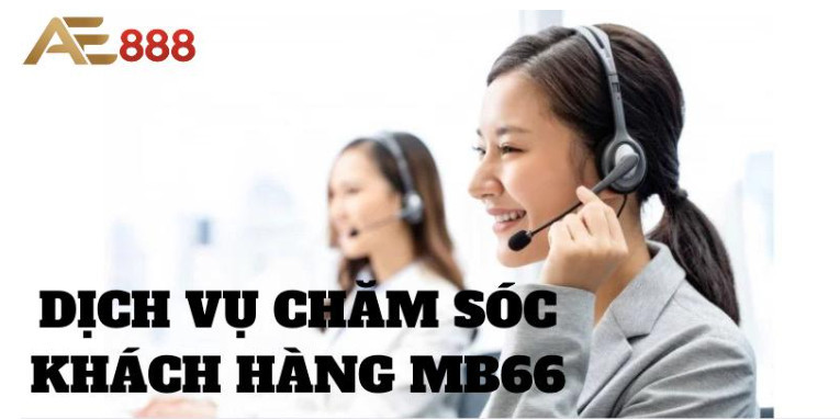 Dịch vụ hỗ trợ hội viên tận tình và chuyên nghiệp Dịch vụ hỗ trợ hội viên tận tình và chuyên nghiệp