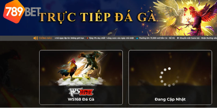 Cá cược đá gà online 789Bet với những trải nghiệm vô cùng chân thực Cá cược đá gà online 789Bet với những trải nghiệm vô cùng chân thực