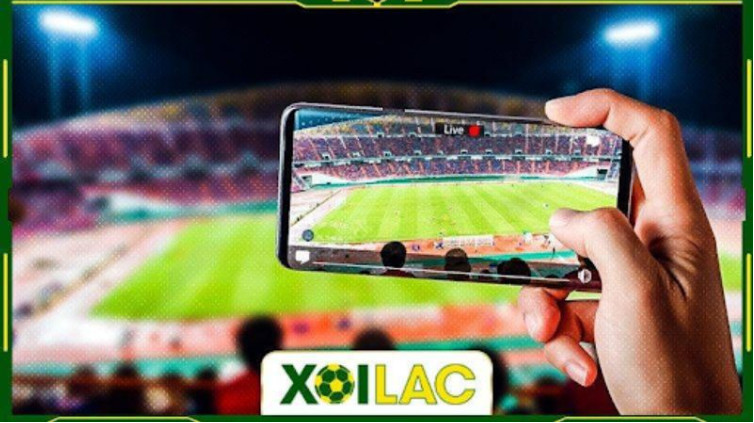 Championship là sự lựa chọn tuyệt vời Championship là sự lựa chọn tuyệt vời