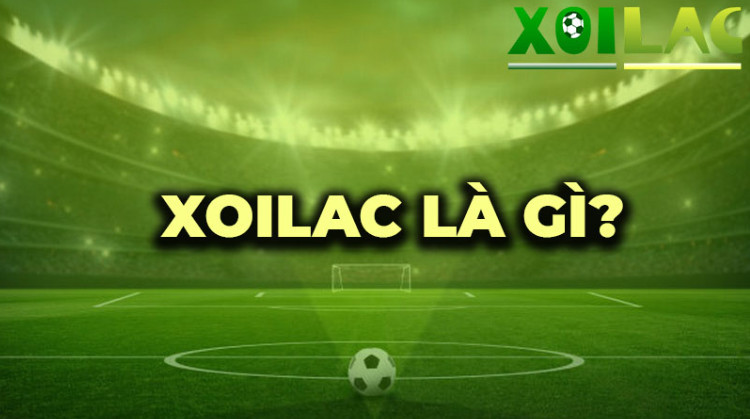 Bình luận viên phân tích, đánh giá rõ ràng Bình luận viên phân tích, đánh giá rõ ràng