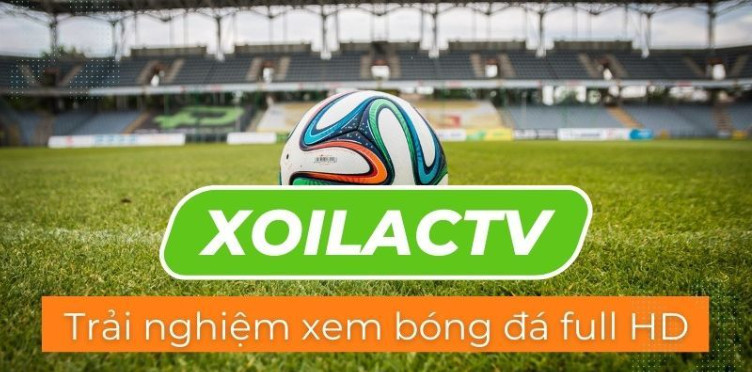 Một số tính năng hấp dẫn tại XoilacTV Một số tính năng hấp dẫn tại XoilacTV