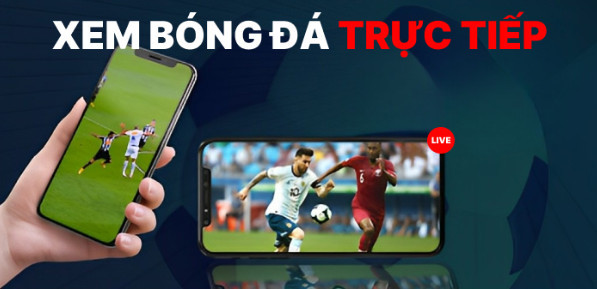 Điểm mạnh của Mitom là gì? Điểm mạnh của Mitom là gì?