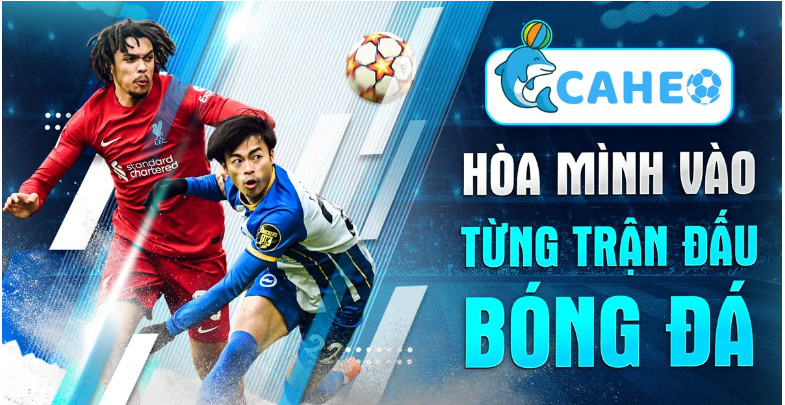 Kênh đã đạt được nhiều thành công trong việc tối ưu hóa đường truyền Kênh đã đạt được nhiều thành công trong việc tối ưu hóa đường truyền