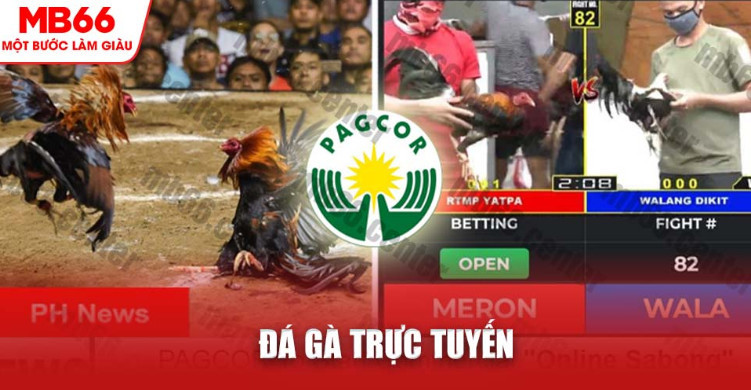 Seven Card Stud poker Seven Card Stud poker