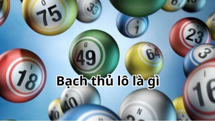 Tìm hiểu bạch thủ lô là gì? Tìm hiểu bạch thủ lô là gì?